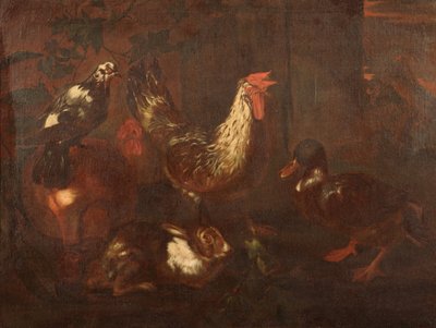 家禽和兔子 作者 乔凡尼·弗朗切斯科·卡萨纳